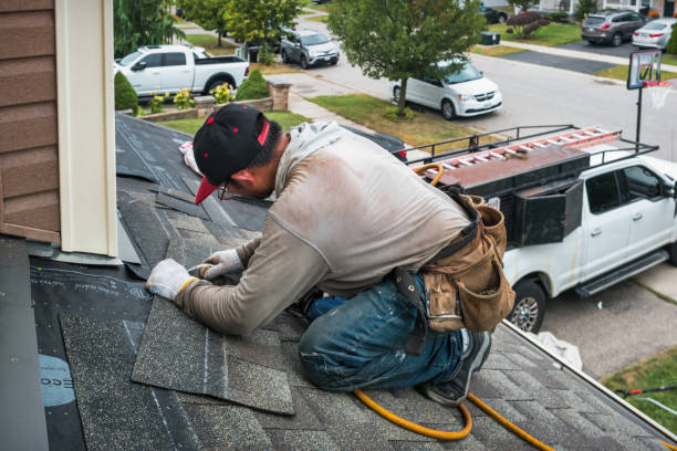 Professional Gutter Repair And Installation technician working in Escatawpa, MS